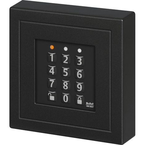 Système de contrôle d'accès noir MIFARE® DESFire®, MIFARE® Classic