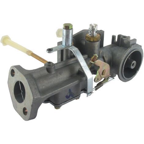 Carburateur Briggs-Stratton 299437 (1/2)