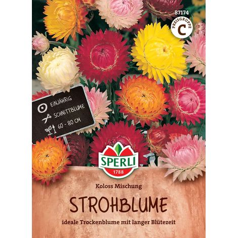 Sperli Strohblumen Koloss Mischung - Blumensamen (1/2)
