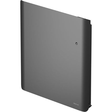 Radiateur à inertie double corps de chauffe NOIROT Evolution horizontal 1000W anthracite connecté (1/4)
