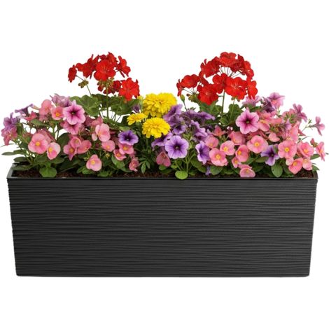 Bouquet Riflo Blumentopf schwarz 56 x 19 cm