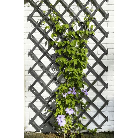 Treillis extensible - NATURE - Bois - 150 x 50 cm - Anthracite - Avec set de fixation