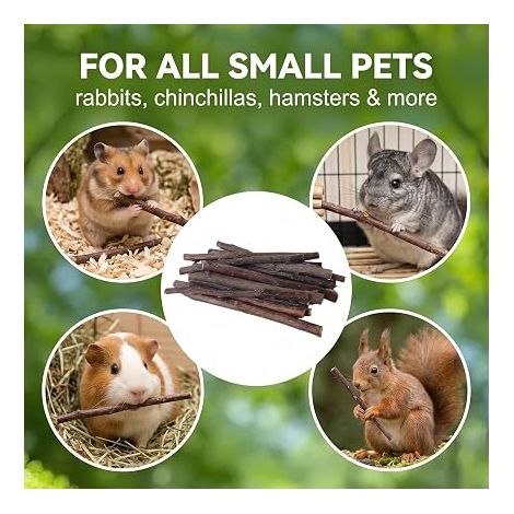 Jouet Lapin Bâtonnets à Mâcher en Bois de Pommier, Branches de Pommier Naturelles (10cm) pour Lapin Nain, Hamster, Cochon d'Inde, Chinchilla, Accessoire Molaire et Soin Dentaire (1/4)