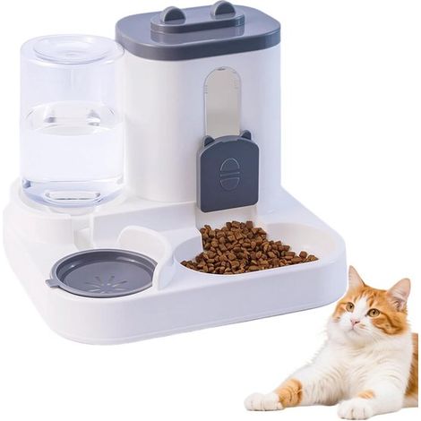 Distributeur automatique de nourriture et d'eau par gravité - 2 en 1 - Grande capacité - Pour chats, chiens, chiots et chatons de petite et moyenne taille - Gris (1/5)