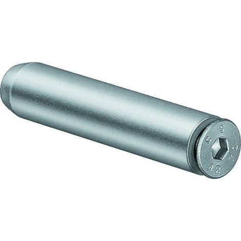 SIMONSWERK Tragzapfen 12x 50mm M5 Edelstahl matt gebürstet
