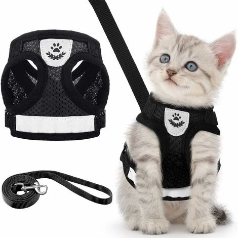 Harnais Chien Chat - Gilet Réglable en Maille Respirante - Collier Poitrail avec Laisse 1,2 m - Taille XS (Tour de Poitrine 26 cm) - Noir