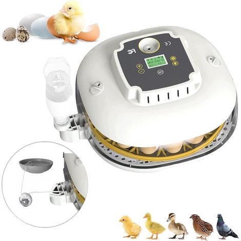 22 Yumurta Kuluçka Makinesi, Sıcaklık ve Nem Göstergesi, Otomatik Yumurta Çevirme ve Kurutma, Yumurta Mumlama, Yumurta Kuluçkalama İçin Yumurta Kuluçka Makineleri, Otomatik Su Doldurma (1/5)