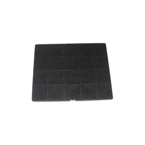 Filtre à charbon ROBLIN 6682183