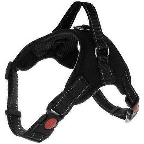 Filiyano-Harnais pour petit chien, taille S, doublure en coton et acier inoxydable, ajustable pour une visibilité nocturne, avec poignée (1/5)