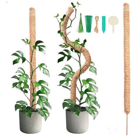 royaluxe -2 pièces 90CM bâton de mousse pliable avec 2 pièces de 2M de long corde de chanvre, bâton de noix de coco pour plantes, aides à l'escalade pour plantes grimpantes, support de plantes de jard (1/5)