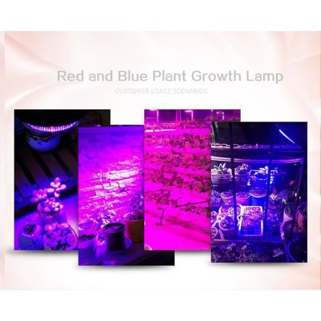36 LED Éclairage E27 Ampoule de Plante Intérieur Lampe de Croissance pour des Plantes,des Fleurs,des Légumes Intérieur/Serre/Jardin (1/4)