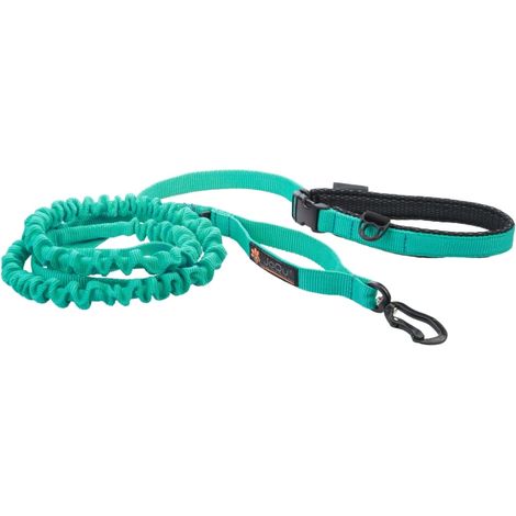 JoQu® Ultra Strong Runners Leine für kleine und mittelgroße Hunde mit Ruckdämpfer, Mint