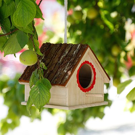Nichoir suspendu en pin durable, servant de station d'alimentation et de repos pour les oiseaux (rouge) (1/5)