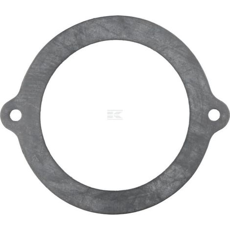 Dichtring ZF 0501303920