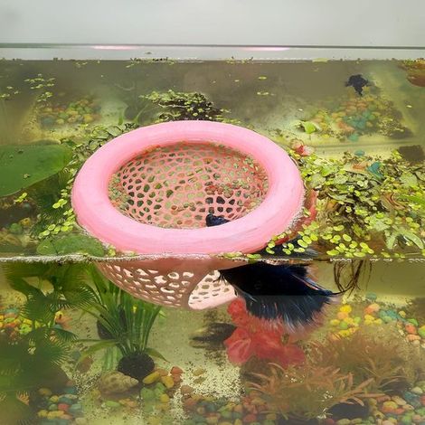 Abri flottant pour poisson betta, distributeur de nourriture pour betta ou crevettes, combinant grotte et hamac, anneau d'alimentation pour petits poissons (1/5)