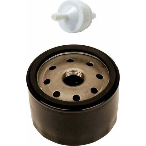 Filtre à Huile 492932 492056 492932S 695396 696854 AM125424 avec Filtre à Carburant 394358 394358S AM38708 pour Tondeuse à Gazon Briggs & Stratton (1/4)