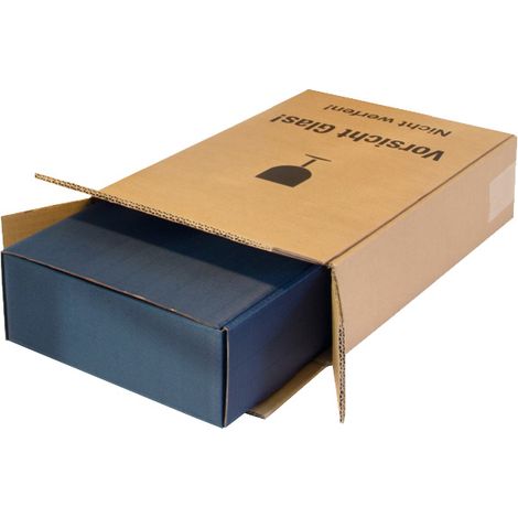 Medienverpackung Gigafix Maße 310x250x20-100mm braun SK-Verschluss TRANSPAK (1/2)