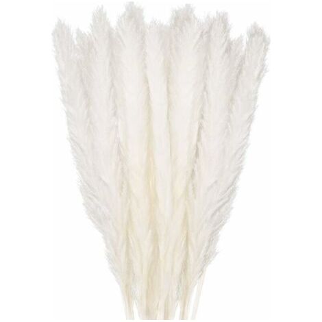 BUNTHAUS 30 pcs Herbe de la Pampa, 45 cm Naturel Pampa Fleur Bouquet de Fleurs Sechees pour Vases, Blanc Boho Decoration Chambre Maison Salon, Mariage Photographier Table Décoration