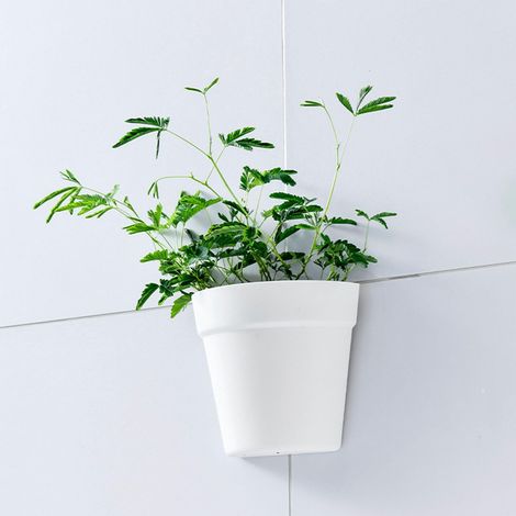 Jardinière Suspendu Mural, 8x16.3x14.7 cm Plastique à Demi-Rond Pot de Fleur Conteneur de Plante avec Autocollant adhésif pour décoration intérieure Pot Succulent (1/5)