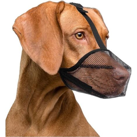 Adjustable breathable muzzle for dogs (small, medium, large) – Durable nylon, anti-bite and anti-licking (1/5)