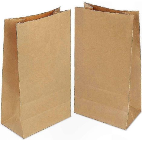 100 braune Kraftpapiertüten, 21,5 x 12,7 cm, Lunchtüten für kleine Geschenke und Gastgeschenke (1/5)