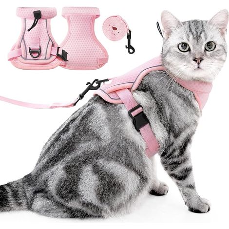 Harnais et Laisse pour Chat - Gilet pour Chat Réglable avec Bandes Réfléchissantes, Marche pour Chats Collier de Chaton (Rose, S)