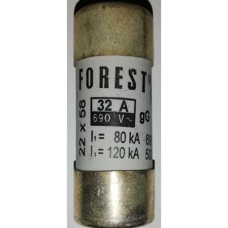 Fusibile Forest 32A 22,2x58mm con percussore