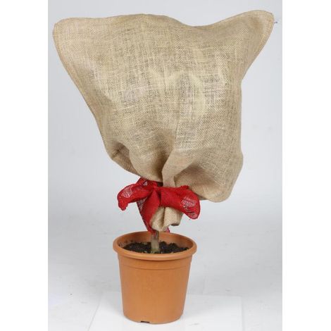 Jute-Schutzsack 57x78cm beige Natur Garten Überzug für Sträucher etc. (1/2)
