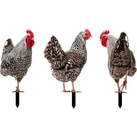 Lot de poules de jardin décoratives 2D pour extérieur figurines animalières pour pelouse et parterre décoration champêtre