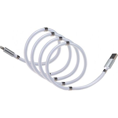 Câble de charge IPhone - Magnétique - L 1 M - Livraison gratuite (1/4)