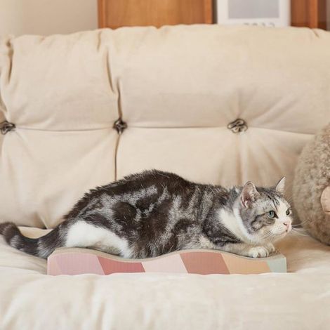 Lot de 2 grattoir,forme vague,herbe à chat,carton ondulé,durable,intérieur (1/5)