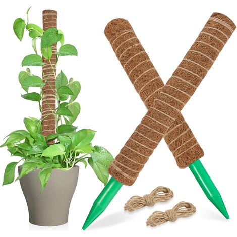 Bardusch-Les tuteurs en mousse conviennent aux plantes grimpantes comme le Monstera deliciosa et sont idéaux pour les plantes d'intérieur en pot. (1/5)