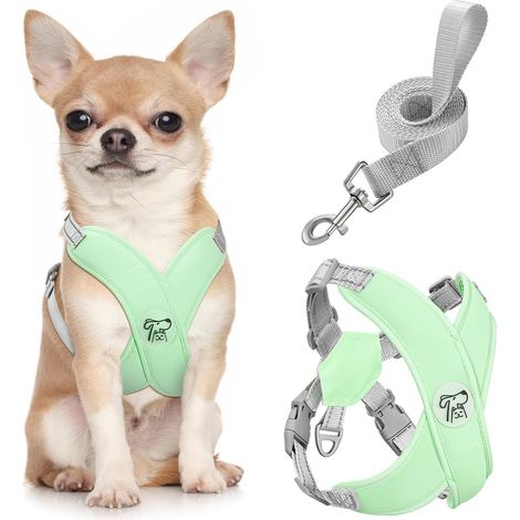 Harnais pour Chiens avec Laisse, Harnais Sécurisé Anti-Traction en Forme de X, Veste pour Chiens de Petite & Moyenne Taille, Ceinture de Sécurité d'animaux Réglable, S, Menthe Verte (1/5)
