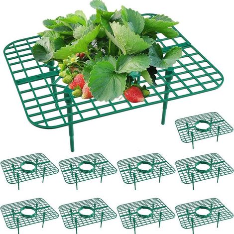 10 supports pour fraises - Supports pour fraises pour jardin - Support stable pour culture de fraises - Supports pour fraises pour serre, accessoires de jardinage (1/5)