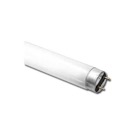 Tube Fluorescent T8 Trifosforé 58W 1500mm 6500K G13