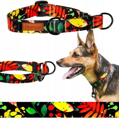 Collar de medio estrangulamiento para cachorros activos de perros pequeños de 20-27 cm Ukory (1/5)