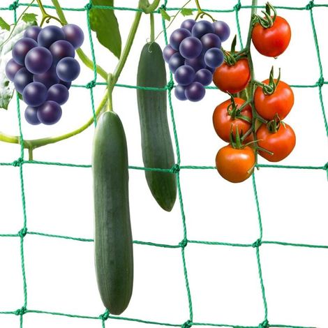 1.8 3M Filet Plantes grimpantes Filet Potager Filet de Treillis pour Tomates Rcolte de Concombres Lgume Vignes Plantes Grimpantes (1/4)