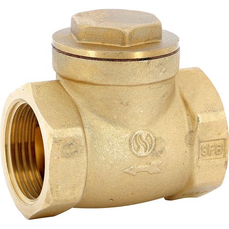 Clapet simple battant laiton femellle BSP à siège métal PN10 - Série 301 66x76