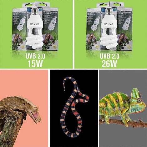 Support de lampe chauffante réglable pour reptiles, support pour ampoule chauffante, pour terrarium de tortue - 26 W (1/4)