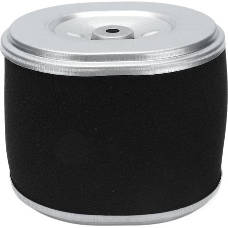Filtre à air moteur GX390 en fibre polyester et fonte filtre à pression élément nettoyant (1/5)
