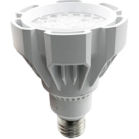 Lampadina LED PAR30 E27 35W Lampada Faretto Bianco L6-PAR30-35WLuce Fredda 6400k