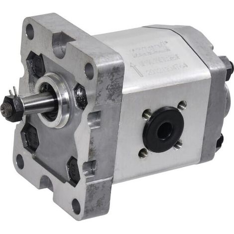 Pompe à engrenages GOPART GP106S3030C18EGP (1/5)