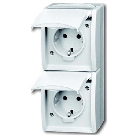 Busch-Jaeger Enchufe doble SCHUKO® con campo de rotulación con tapa abatible 16 A blanco - ocean® (20-02 EW-54), 2CKA002084A0710