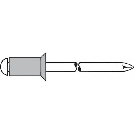 Rivetti Ciechi Di Serie Senkkopf Alu 3 X 6Mmgesipa (A 500)