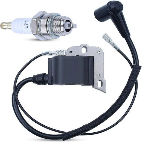 Le pack haute tension de bobine d'allumage convient aux modèles 50 51 55 254 61 266 268 272 (1/4)