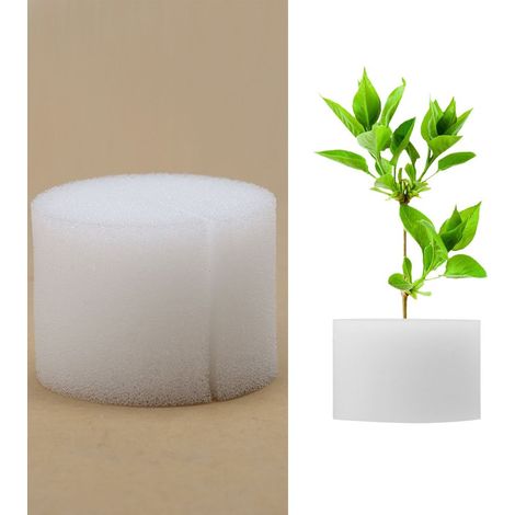 Lot 50 éponges hydroponiques hors-sol 32x30mm – culture légumes serre – outil plantation jardinage