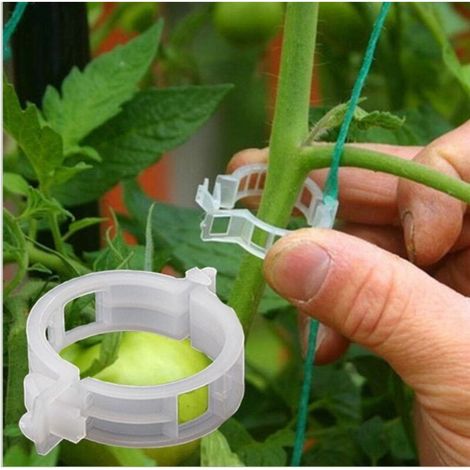 100PCS Support de plantes Clips de jardin Clips de tomate Prend en charge / relie les plantes / fic (1/5)