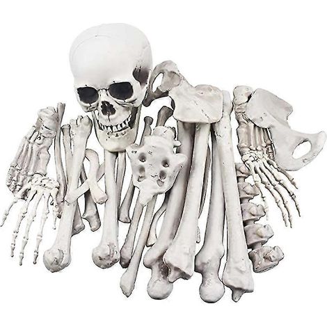 1 paquete de huesos de esqueleto de Halloween para decoraciones de Halloween (1/3)