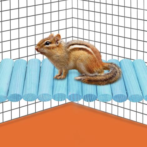 Support en bois pour animaux de compagnie, balançoire et jouet pour écureuil, planeur de sucre, hamster, perroquet bleu (1/5)