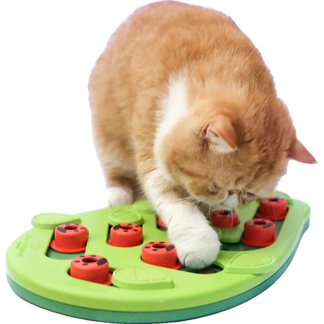 Rompecabezas interactivo para gatos, con capacidad para 1/4 de taza de comida, dimensiones 30,5 x 23 x 7,6 cm, material plástico, nivel de dificultad ajustable, libre de BPA. (1/5)